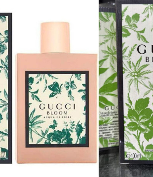 gucci bloom for women 