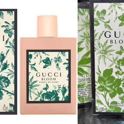 gucci bloom for women 