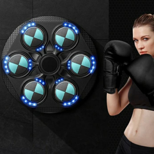 Home-Gym Boxing Training Machine